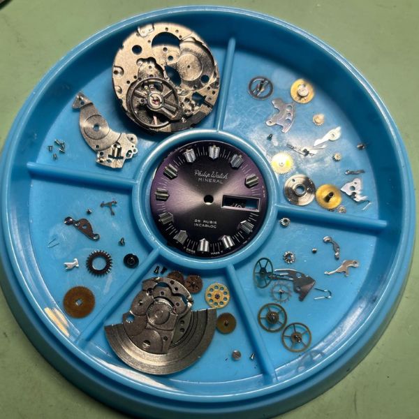 PHILIP WATCH MINERAL